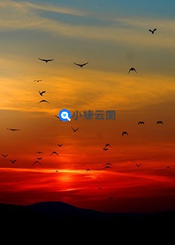 风景美如画